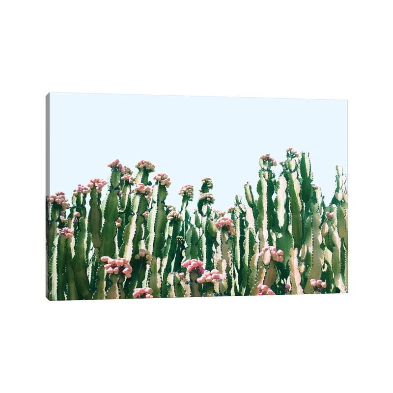 Cactus Blush by 83 Oranges - Wrapped Canvas Print, 20.32 cm H x 30.48 cm W