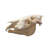 Gonzella Genuine Zebra Skull