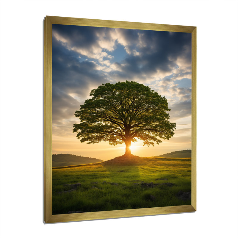 «Summer Solitude Tree Glow» sur toile, H 20 po x l 12 po x P 1 po, Encadrement doré