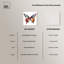 «Soft and Bold Rainbow Butterfly» par Art Remedy-104628686-104628701