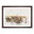 Walnut Framed