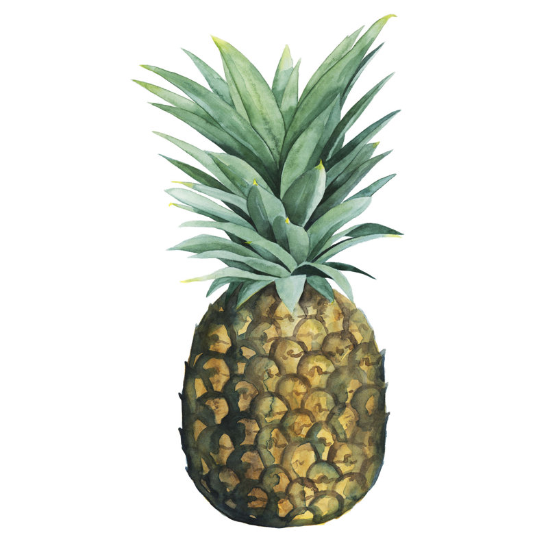 Aquarelle ananas II, H 12 po x l 8 po