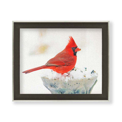 Cardinal en blanc par Hal Halli. Impression sur papier - Montée et encadrée