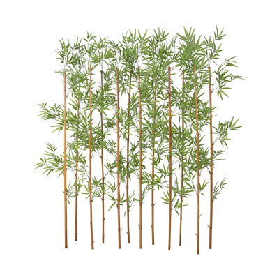 Adcock Bamboo Hedge
