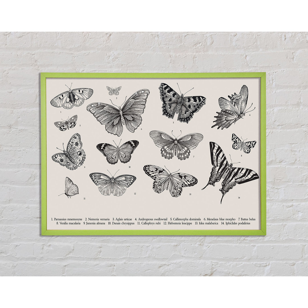 Camberley British Butterflies - Einzelner Bilderrahmen Kunstdrucke