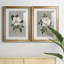 Magnolia botanique - ensemble de 2 reproductions d'art-512224784-512224786-512224788