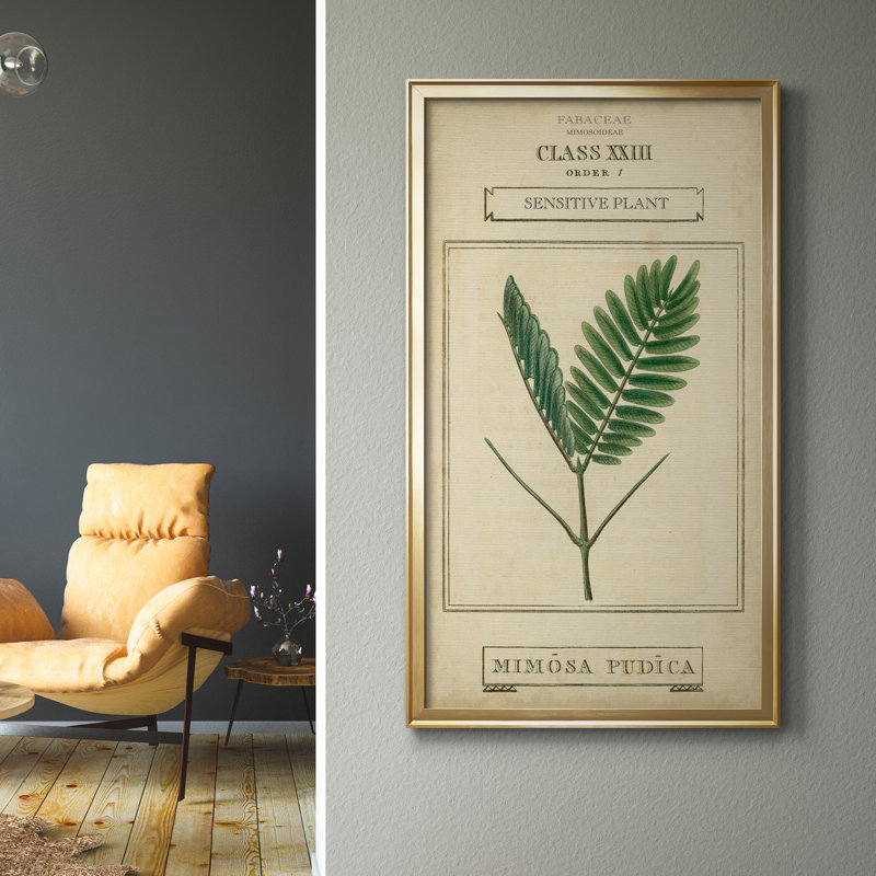 Linnaean Botany IV - Peinture sur toile encadrée, H 14,5 po x l 26,5 po x P 1,5 po, Doré