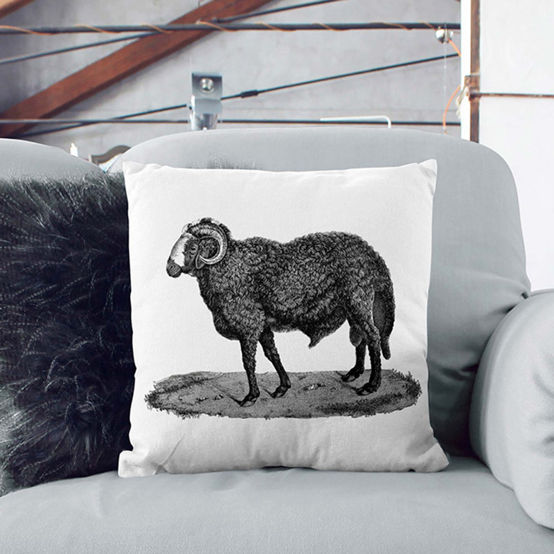 Square Throw Cushion, Black, 40cm H x 40cm W x 15cm D