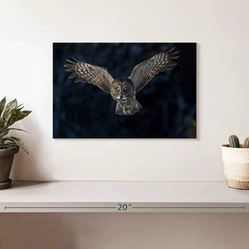Flying Gray Owl, 8" H x 12" W