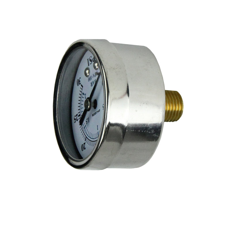 2" Back Mount Stainless Steel Pressure Gauge 0-30 PSI