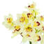 Orchid Arrangement in Mirrored Glass Vase