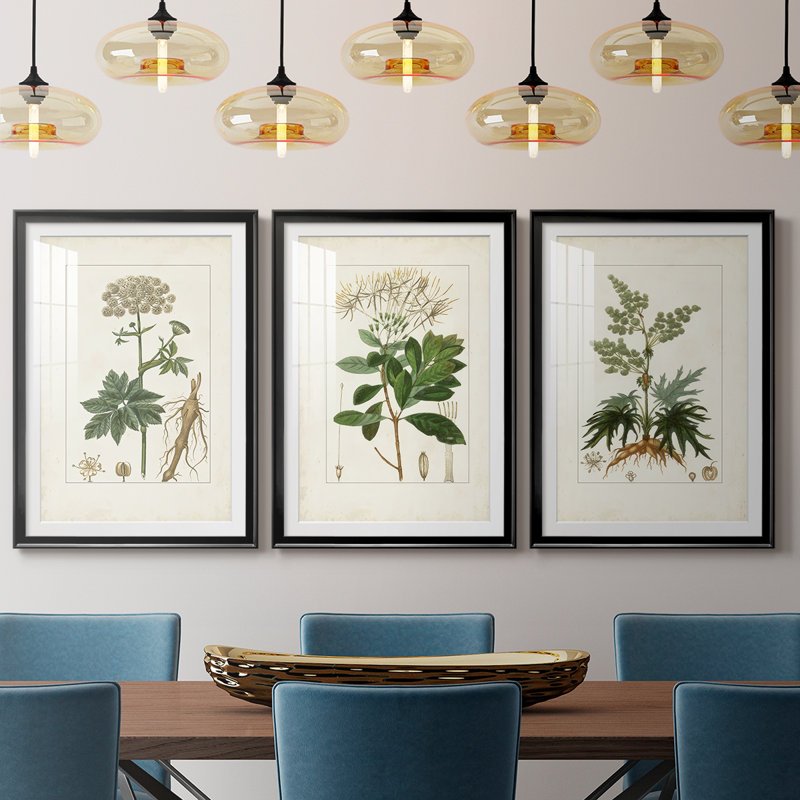 Antique Turpin Botanical I - reproduction sur mesure encadrée de qualité supérieure - 3 pièces, H 19 po x l 27 po, Noir