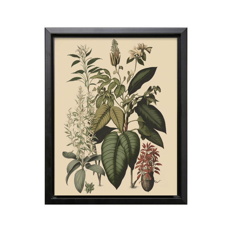 Fleur sauvage n ° 2, Cadre noir, Canevas, H 24 po x l 32 po