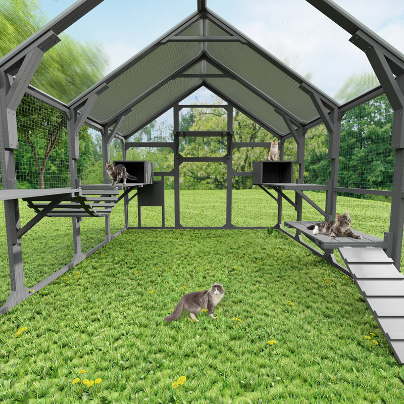 Grande cage à chat pour plusieurs chatons, maison pour chat en bois avec 7 plateformes, 2 boîtes de repos, 1 pont et 1 rampe, cage de cage