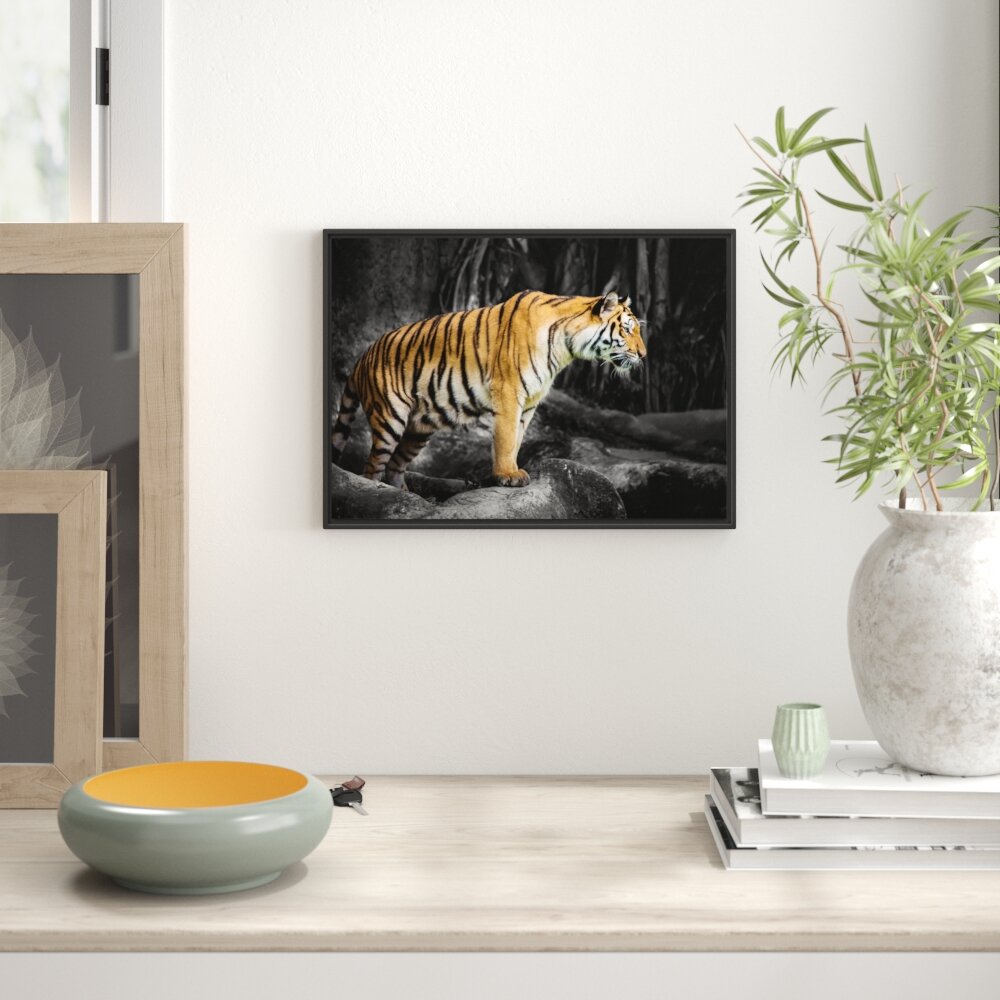 Gerahmtes Wandbild knurrender Tiger auf Steinen