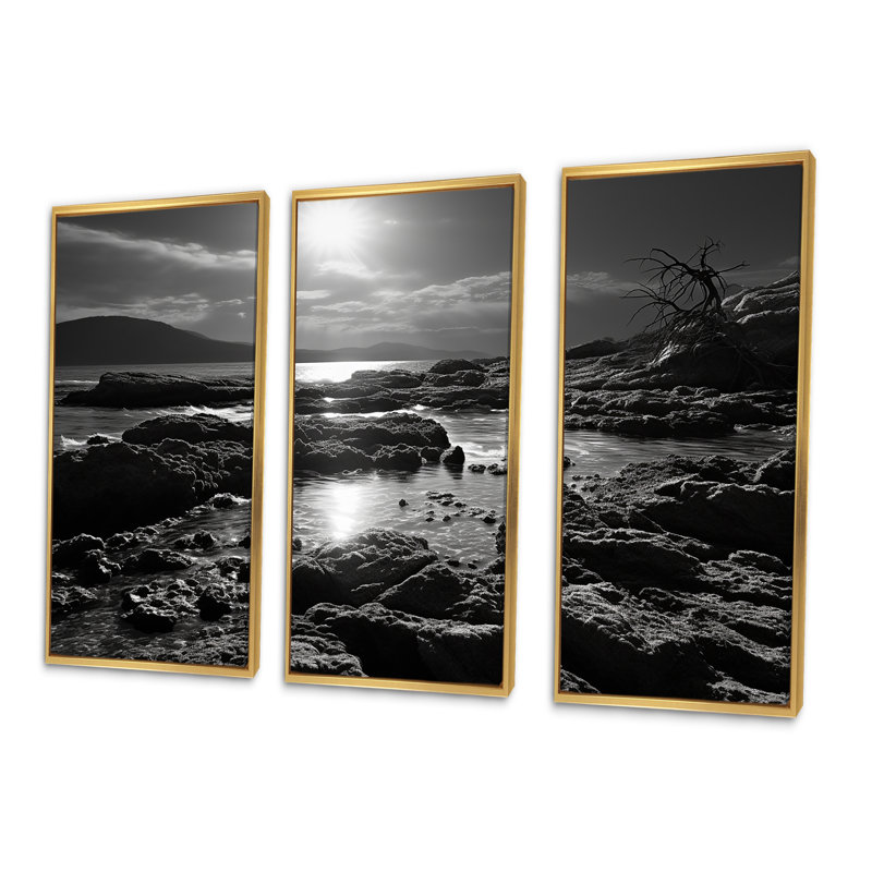«Black and White Rocky Beach - Coastal Coral Under Water», ensemble d'art mural, Cadre flottant doré