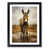 Black Framed selected