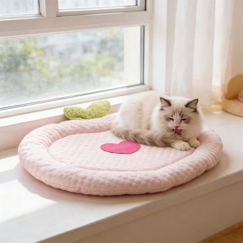 Tapis de couchage portatif à motif de fruits 18,1 x 13 po Summer Pet, PKS