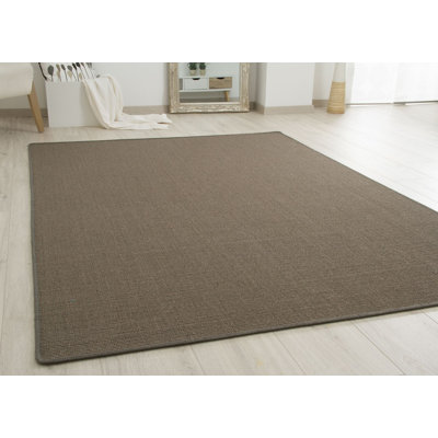 Areesha Solid Colour Flatweave Area Rug