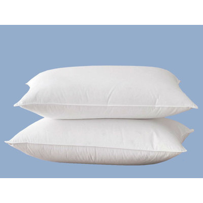 Coussin de soutien en duvet