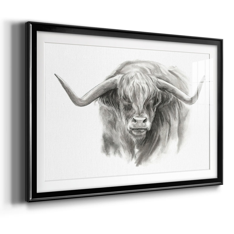 «Soft Focus Highland Cattin II», impression sur papier, Noir, H 15 po x l 21 po x P 1,5 po