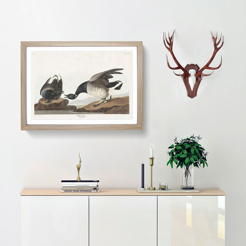 Brant Geese by John Audubon - Picture Frame Painting Print, 36cm H x 48cm W x 2cm D, Oak Framed