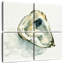 Aletra Old Salt Shell II-109098734