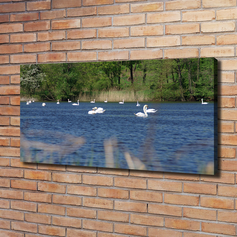White Swans - Wrapped Canvas Print