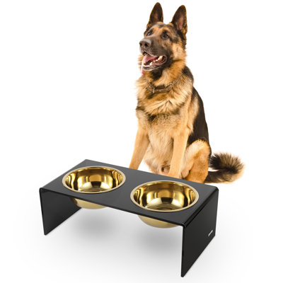 Keaton Modern Lucite Rectangular Elevated Pet Feeder with 2-Stainless Steel Bowls