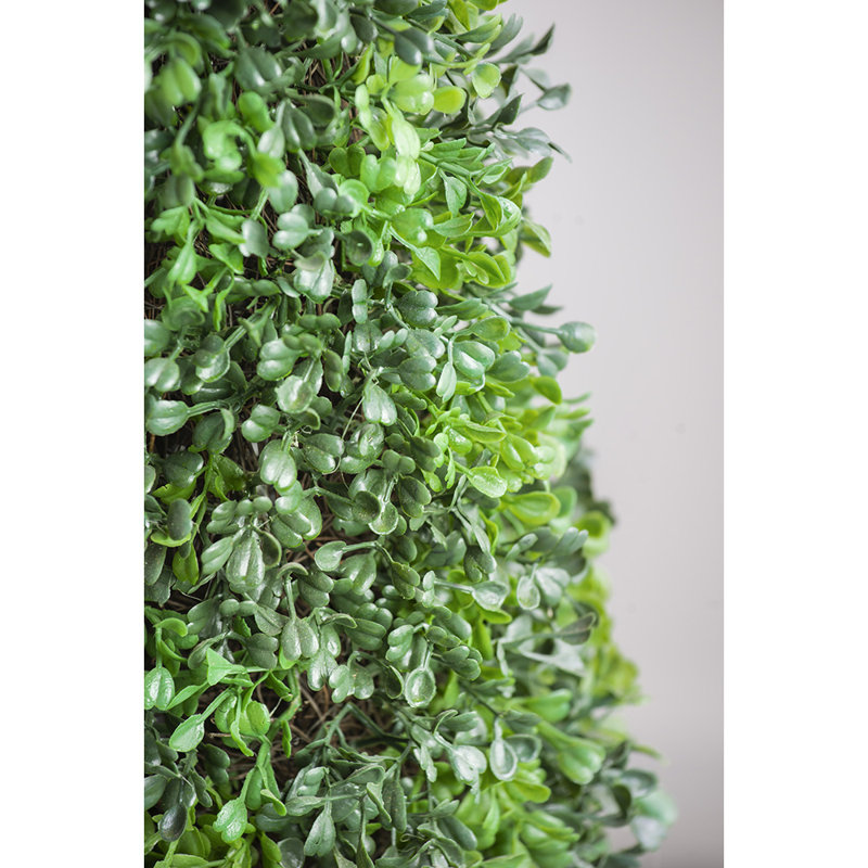 7.5x7.5x35" Tall Artificial Boxwood Tree in Brown Pot
