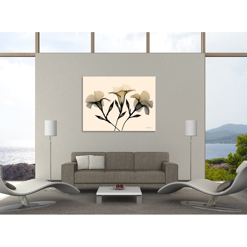 «Mandelilla Dawn», toile tendue par Albert Koetsier, H 36 po x l 48 po x P 1,5 po