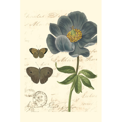 Small Vintage Floral I by Vision Studio - Wrapped Canvas Art Prints