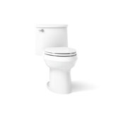 Adair 1.28 GPF Water Efficient Elongated One-Piece toilet (Seat Included)