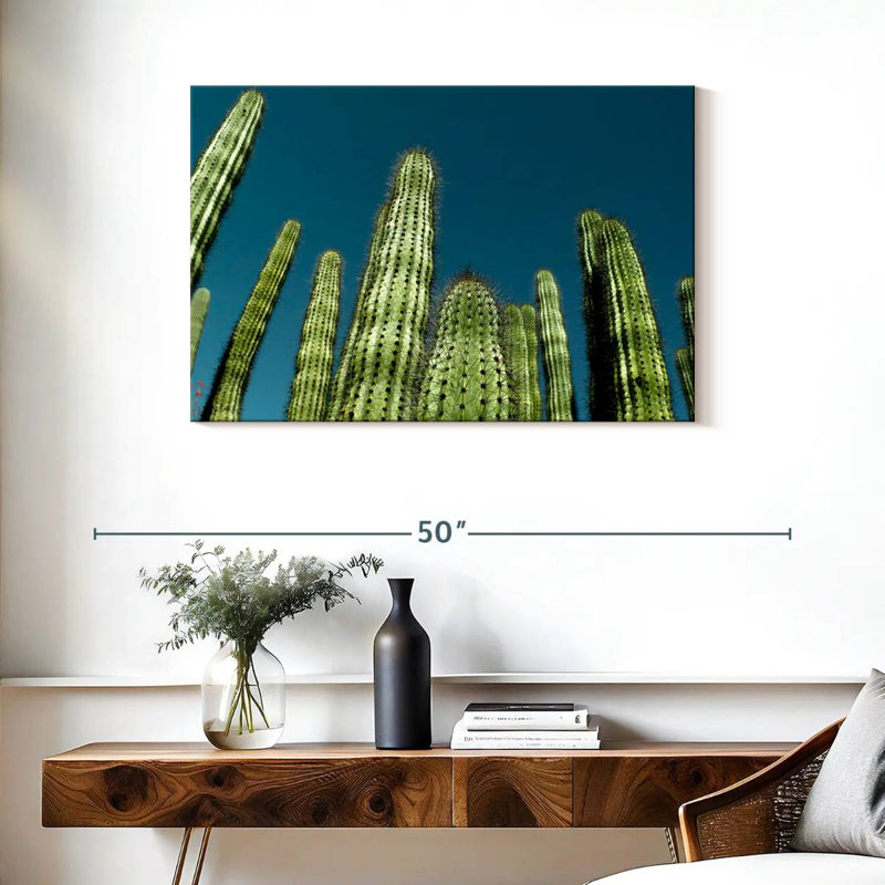 Cactus bleu ciel Harnek, H 24 po x l 36 po