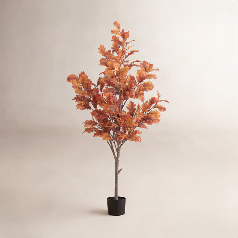 60'' Faux Foliage Tree in Pot