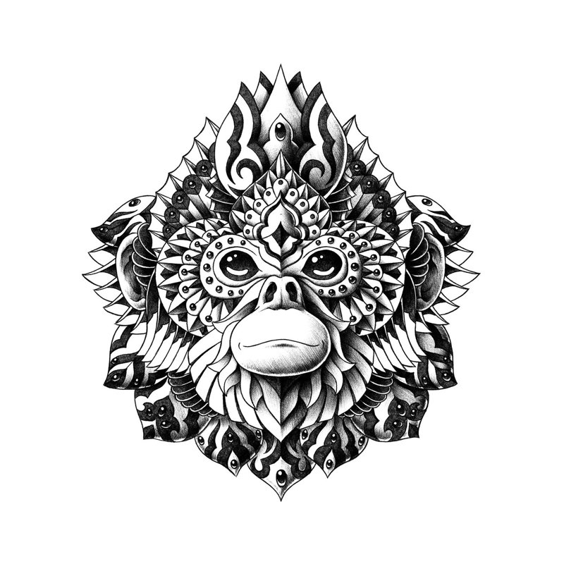 Snub-Nosed Monkey by Bioworkz - Wrapped Canvas Print, 30.48cm H x 30.48cm W