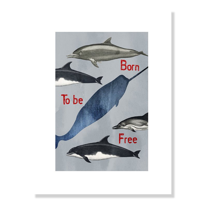 «Born to be free», impression sur papier, H 16 po x l 12 po x P 1 po, Papier