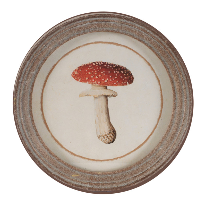 Framed Mushroom Print