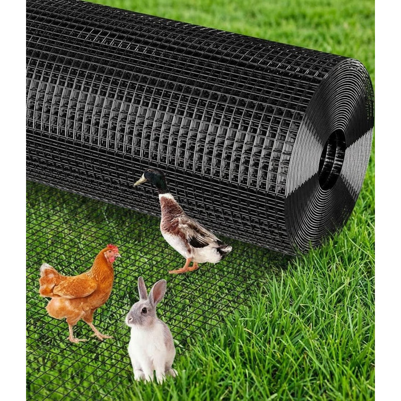 Clôture en fil galvanisé, pour oiseau, Noir, H 48 po x l 1200 po