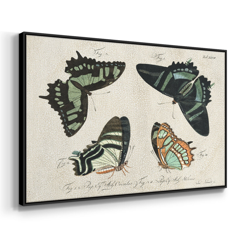 «Crackled Butterflies III», reproduction d'art sur toile, H 25 po x l 37 po x P 2 po, Toile avec cadre flottant noir