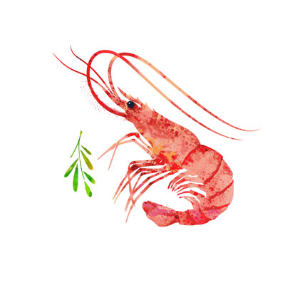 Red prawn or shrimp 1 Piece Wrapped Canvas Wall Art