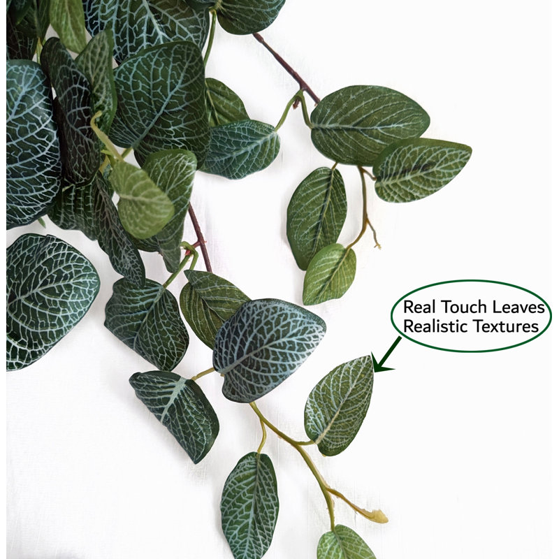 Buisson suspendu Real Touch Fittonia, H 34 po x l 20 po x P 4 po