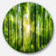 «Forest with Rays of Sun Panorama», photographie-1213741107-1213741113