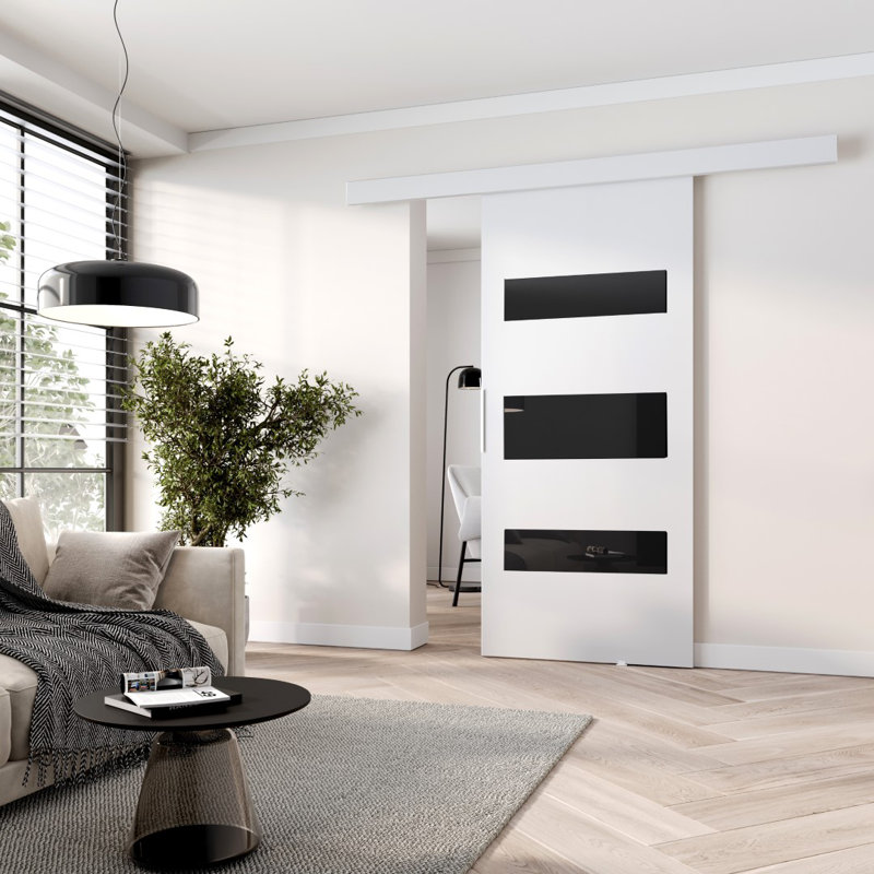 Lize Sliding Door White and Black, 205cm H x 106cm W x 1.6cm D, White/Back