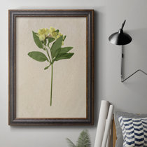 Pressed Flowers on Shiplap II | Large Metal Wall Art Print | Great Big Canvas