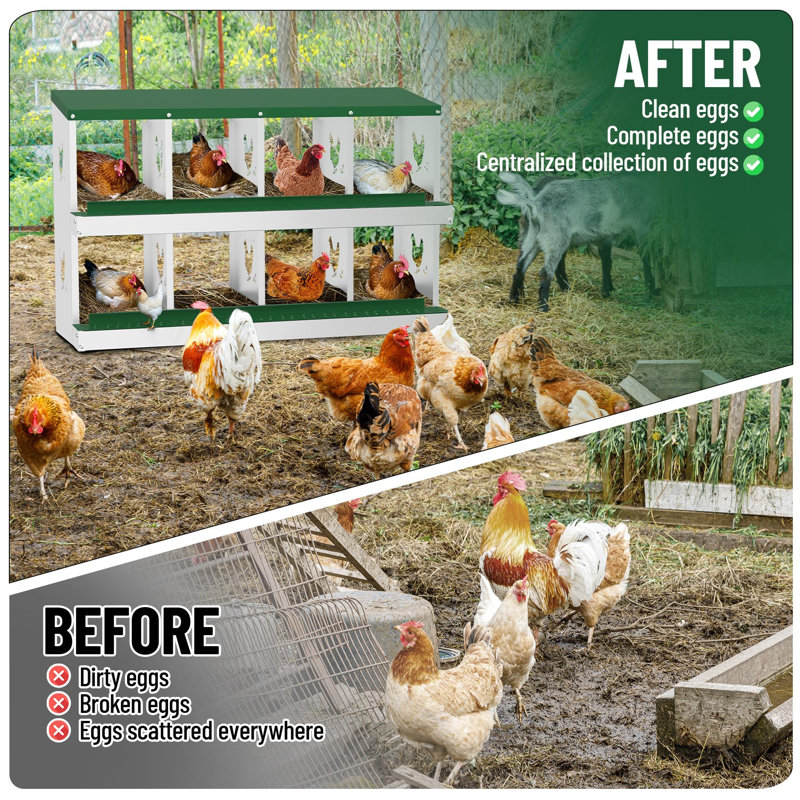 Egg Laying Box