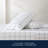 Nautica Printed Cotton Percale Sheet Sets-114851401-27355243