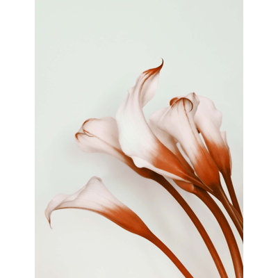 Calla Lily Mint And Red Print