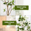 118 cm H Faux Plant