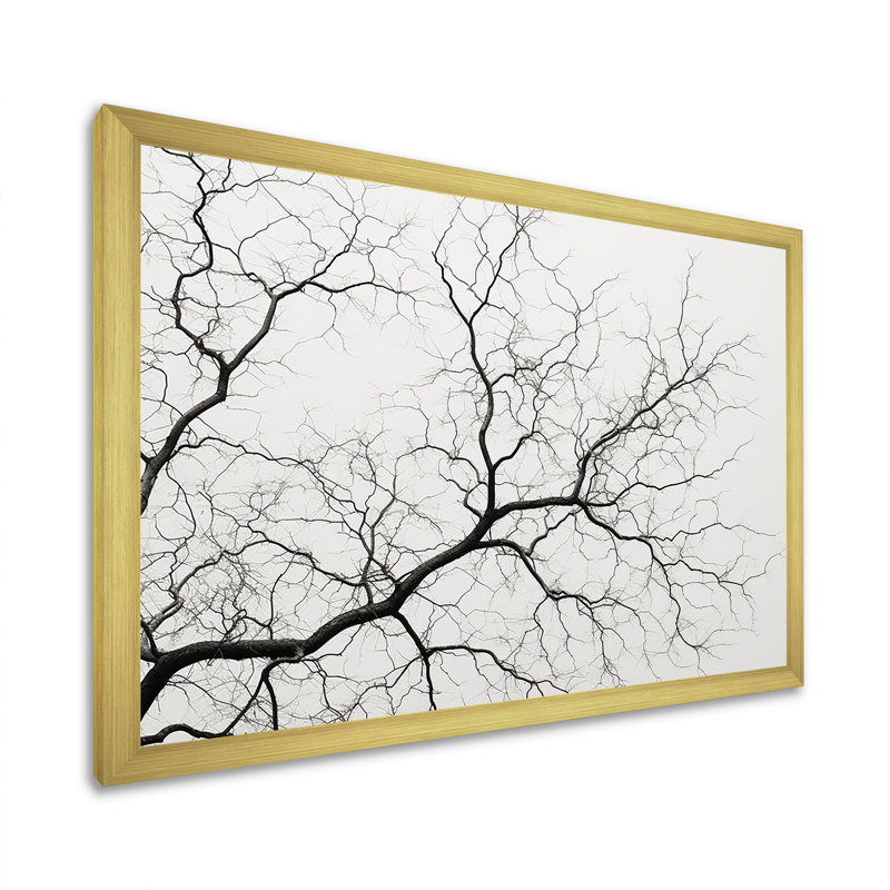 «Monocrhome Sycamore Tree Solitude», reproduction sur toile, H 30 po x l 40 po x P 1,5 po, Cadre doré simple